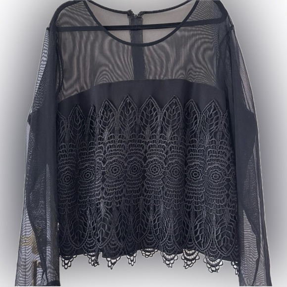 Tops - Elegant Black Lace Sheer Top
